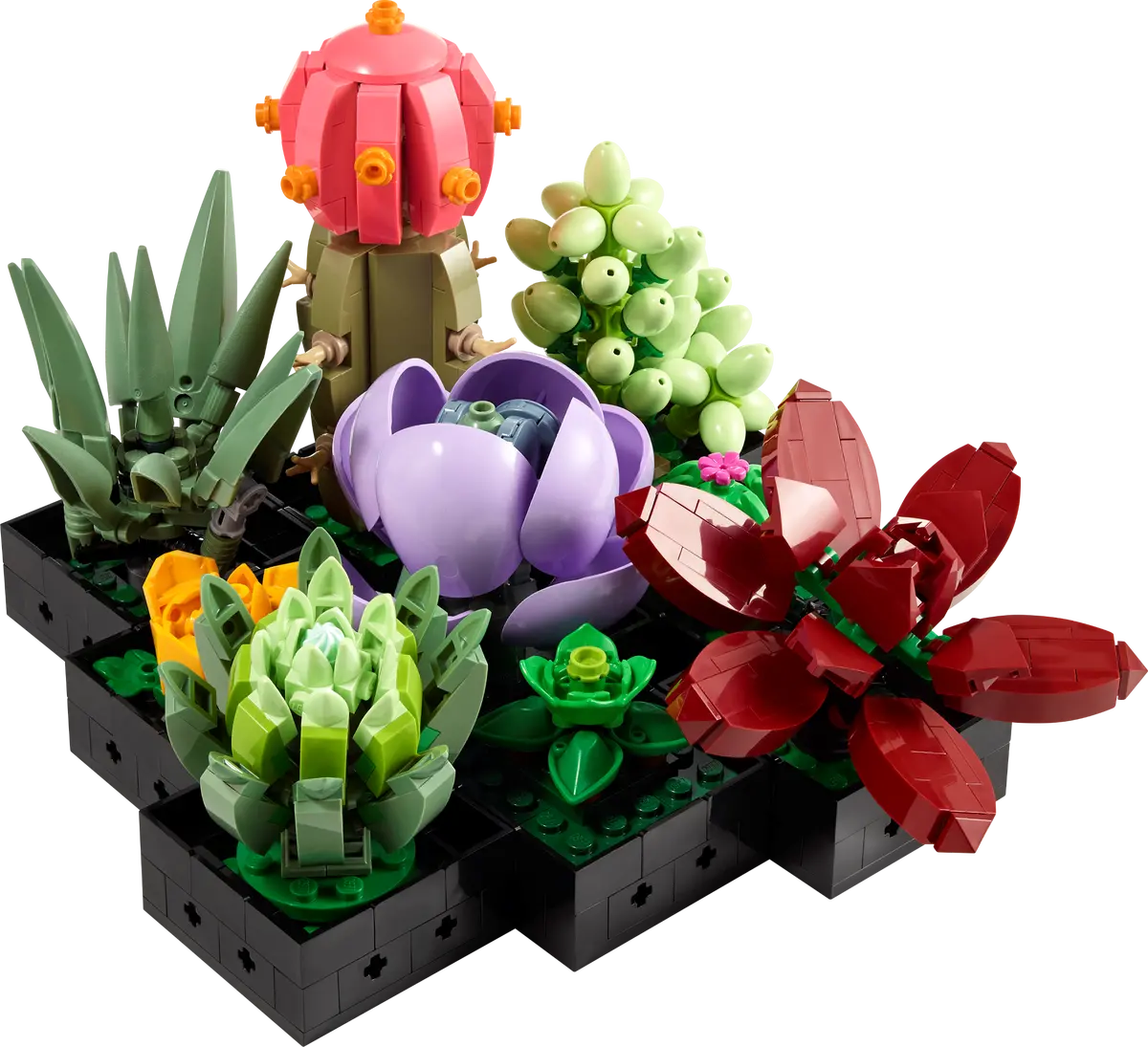 LEGO Botanical Collection 10309 Succulents