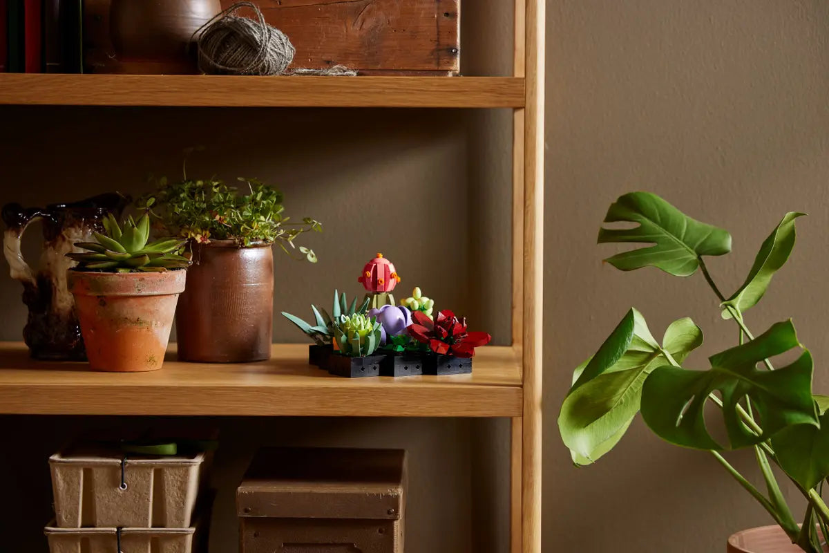 LEGO Botanical Collection 10309 Succulents