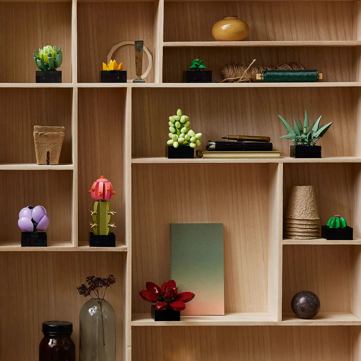 LEGO Botanical Collection 10309 Succulents