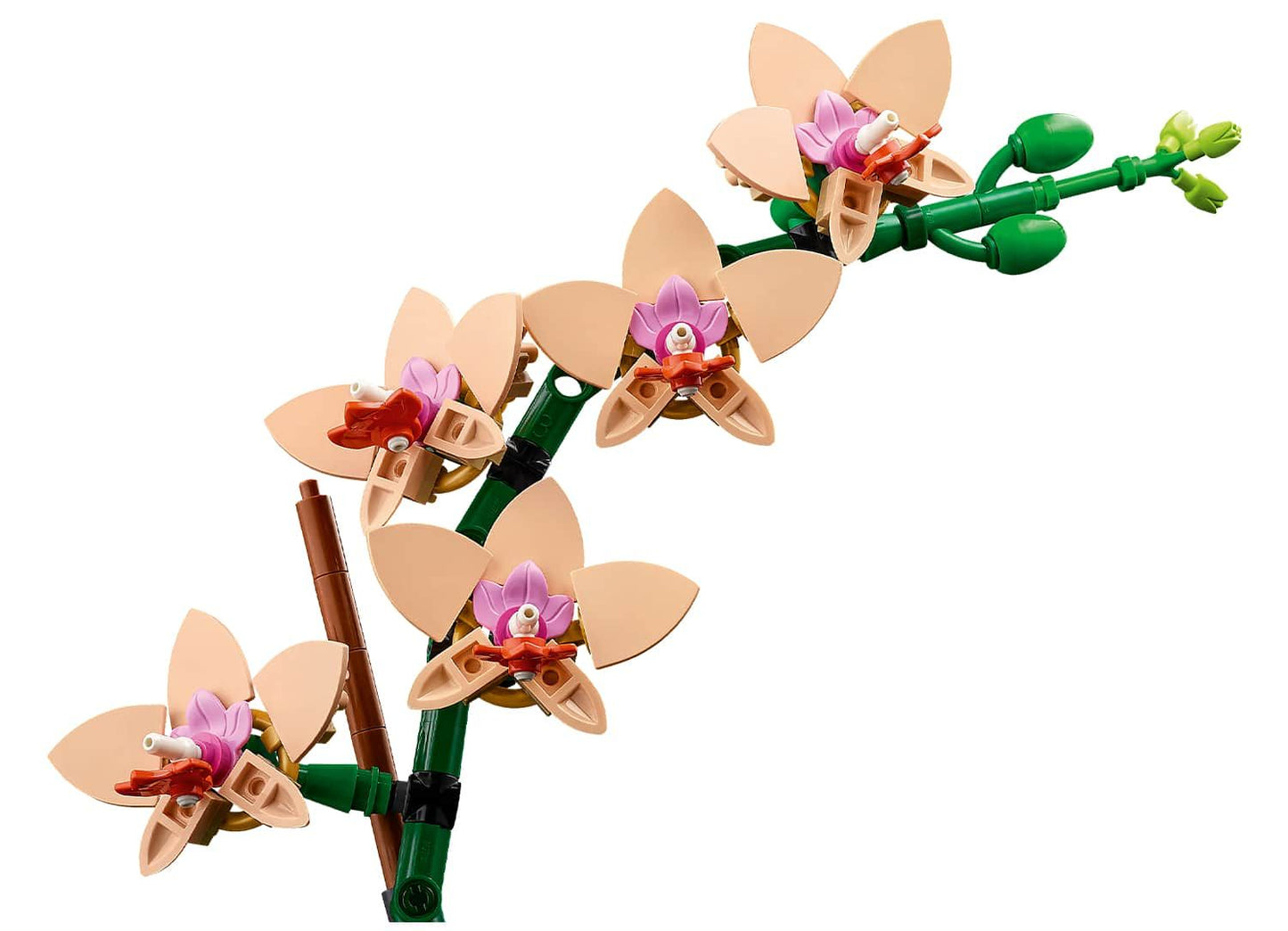 LEGO Botanical Collection 10343 Mini Orchid