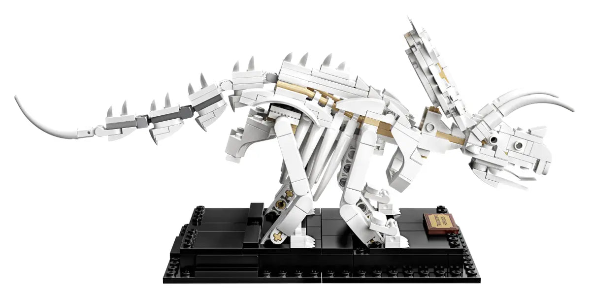 LEGO Ideas 21320 Dinosaur Fossils