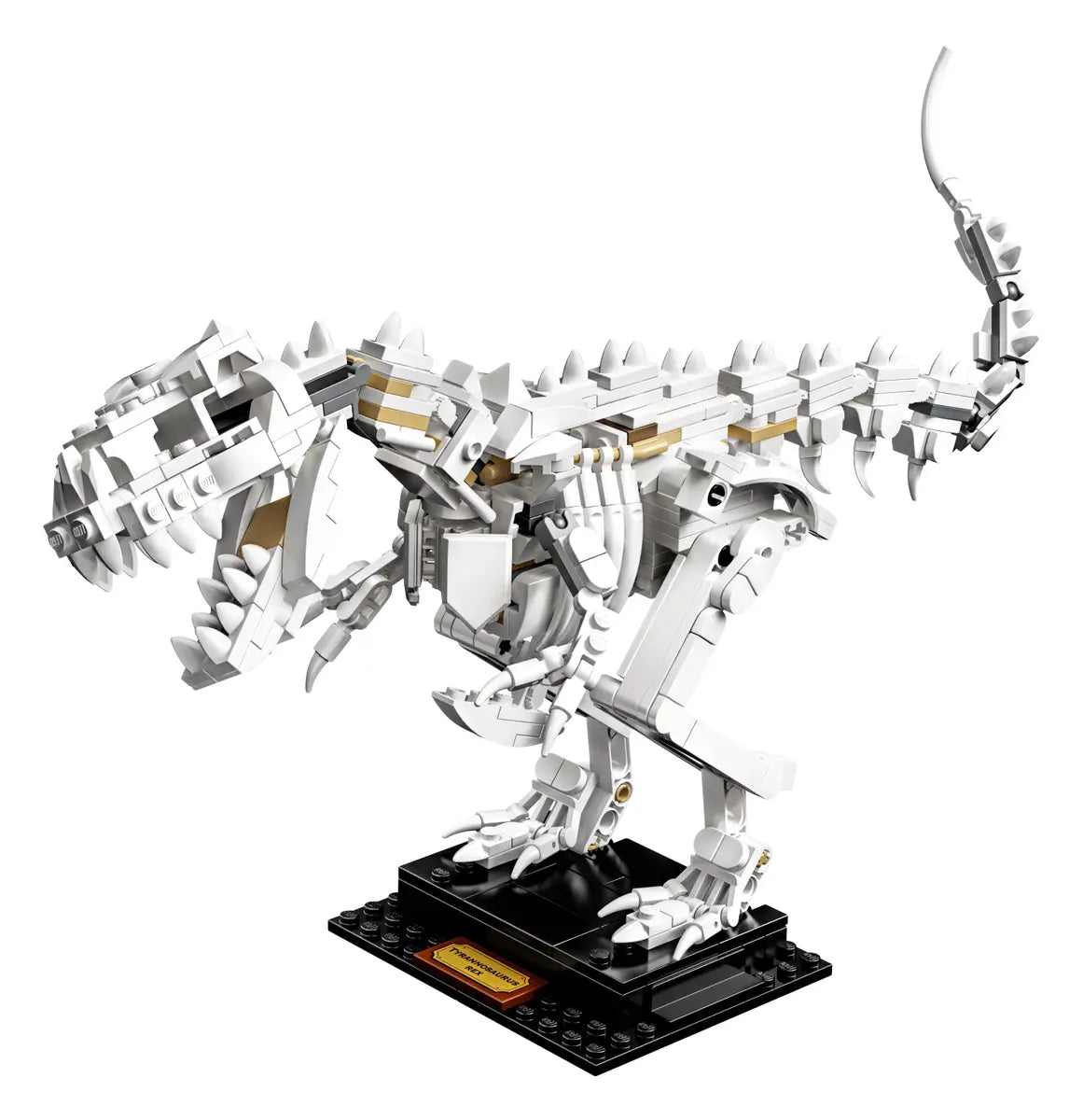 LEGO Ideas 21320 Dinosaur Fossils