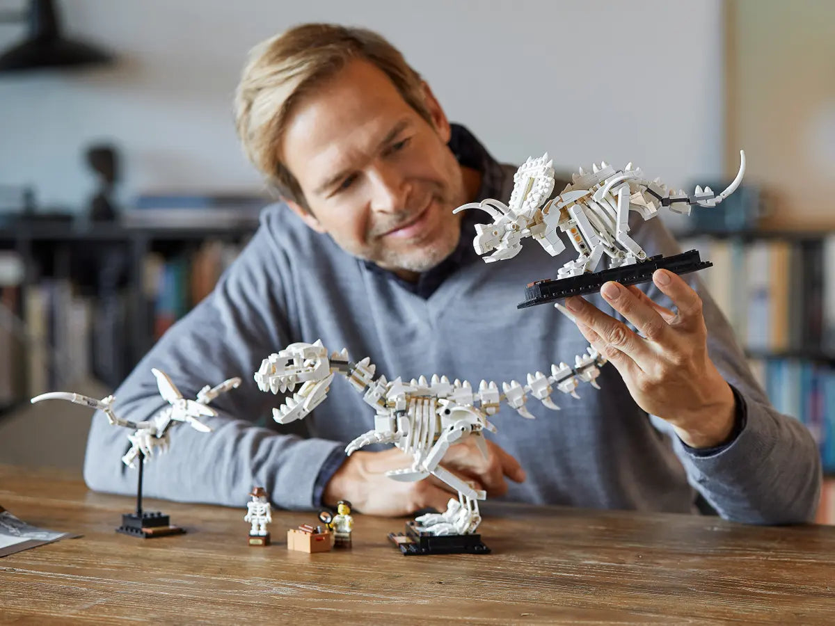 LEGO Ideas 21320 Dinosaur Fossils