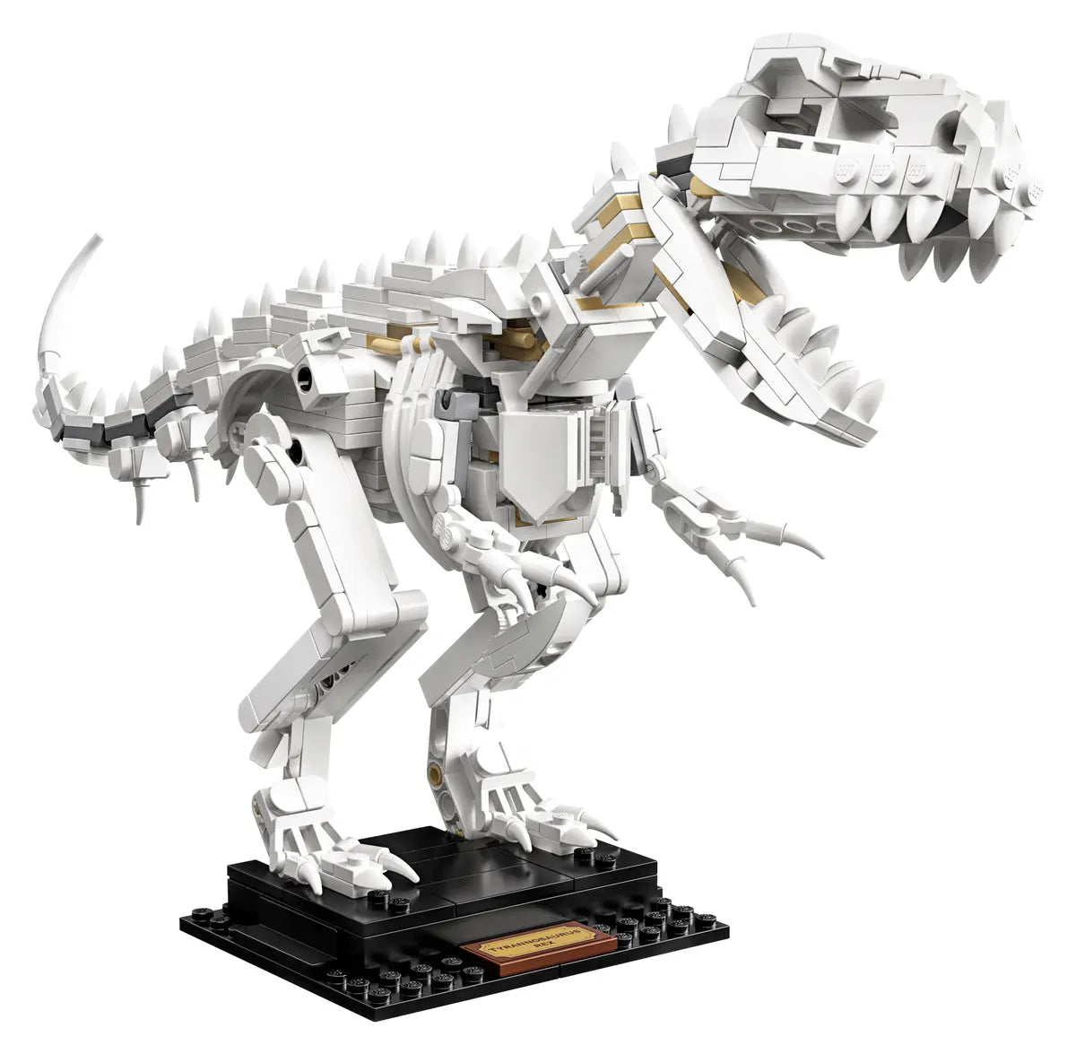 LEGO Ideas 21320 Dinosaur Fossils