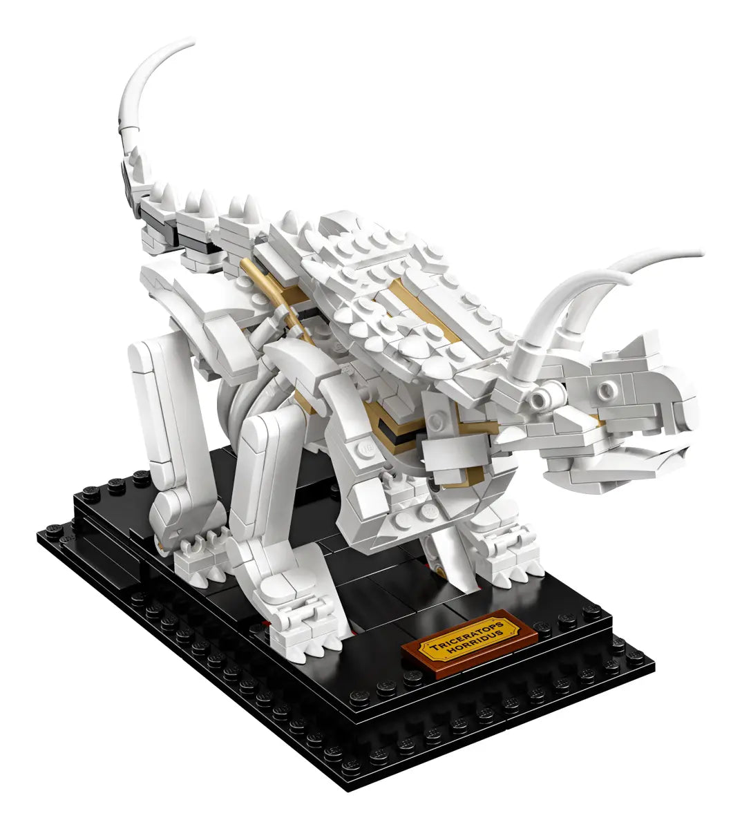 LEGO Ideas 21320 Dinosaur Fossils