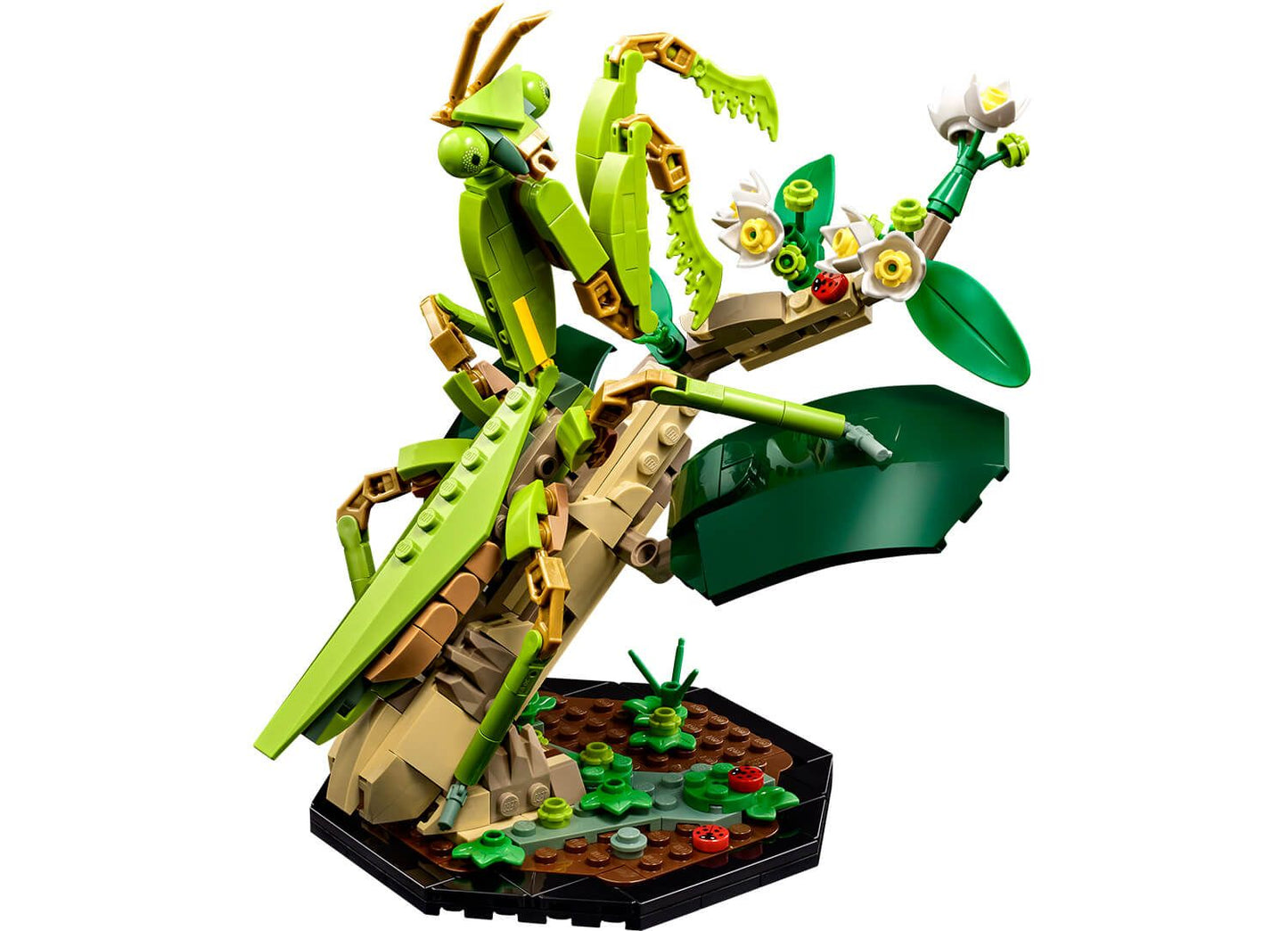 LEGO Ideas 21342 The Insect Collection