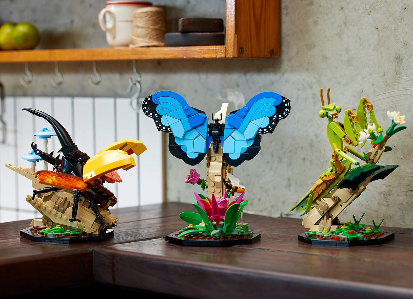 LEGO Ideas 21342 The Insect Collection