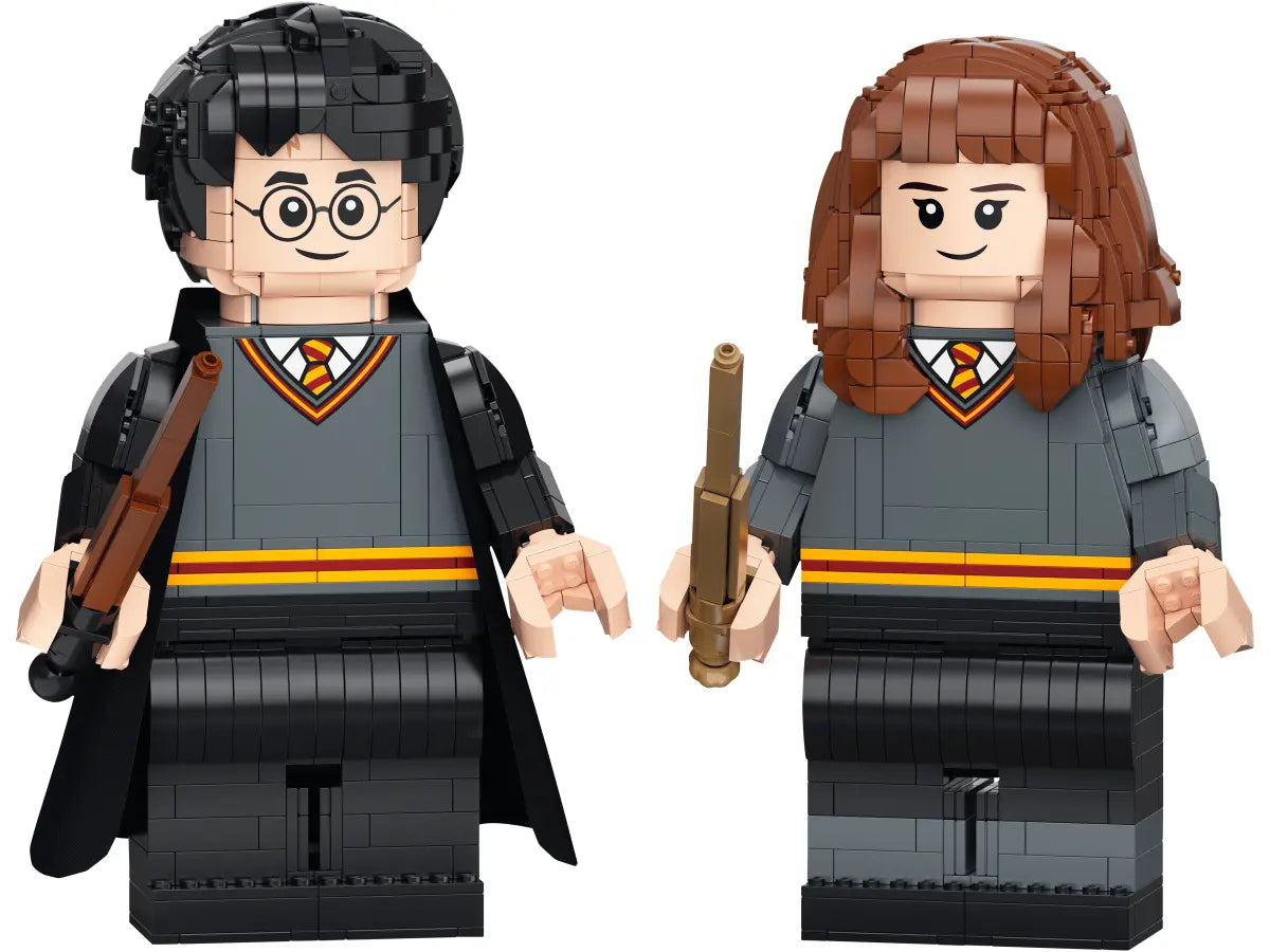 LEGO Harry Potter 76393 Harry Potter & Hermoine Granger