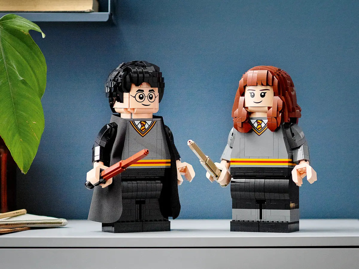 LEGO Harry Potter 76393 Harry Potter & Hermoine Granger