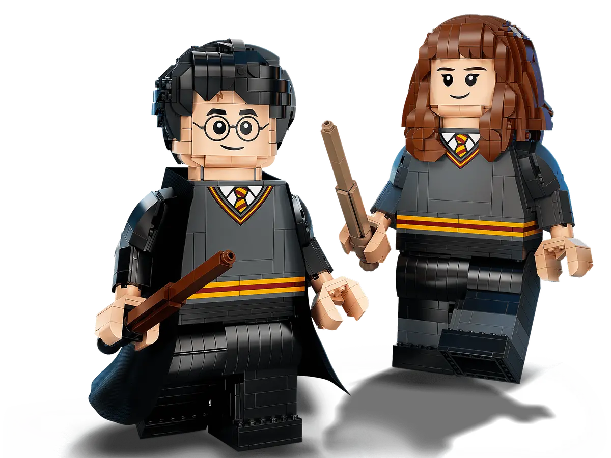 LEGO Harry Potter 76393 Harry Potter & Hermoine Granger