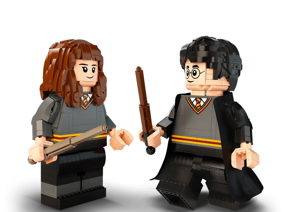 LEGO Harry Potter 76393 Harry Potter & Hermoine Granger