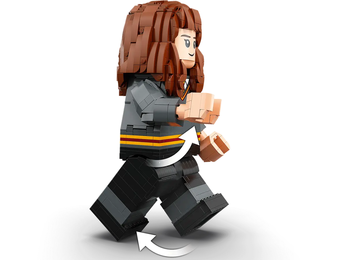 LEGO Harry Potter 76393 Harry Potter & Hermoine Granger