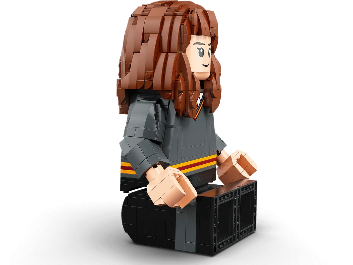 LEGO Harry Potter 76393 Harry Potter & Hermoine Granger